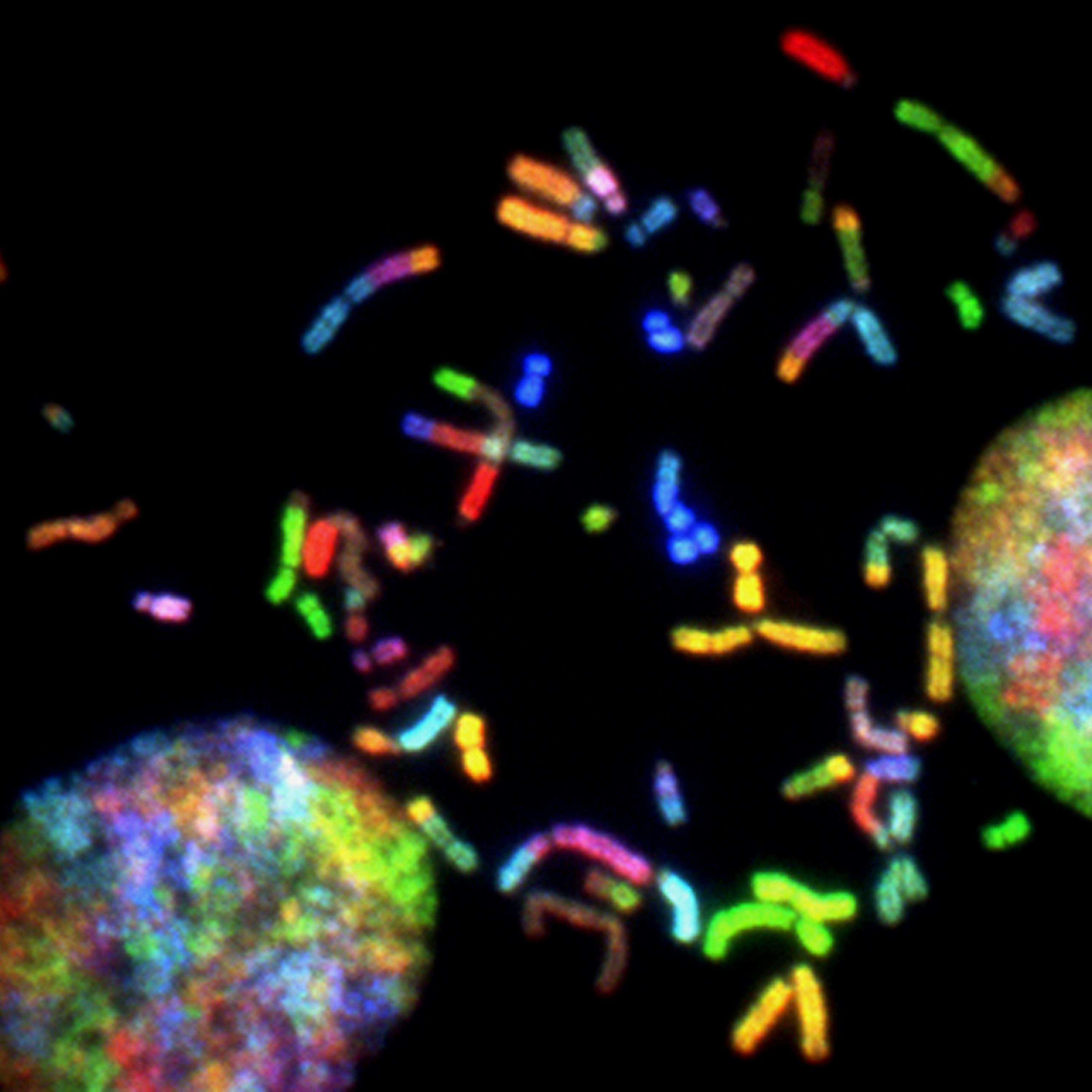 cells and treatment